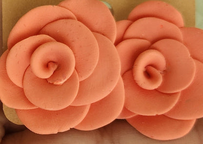 Peach Bloom Earring & Necklace Set